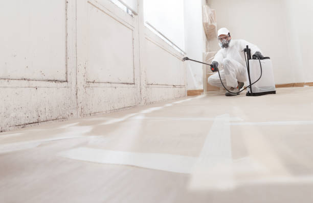 24/7 Emergency Mold Remediation experts in Burlington, MA