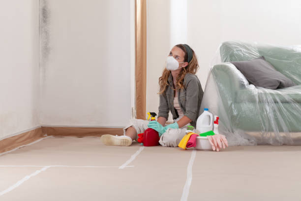 Reliable Mold Remediation contractor in Burlington, MA by Car Mold Remediation
